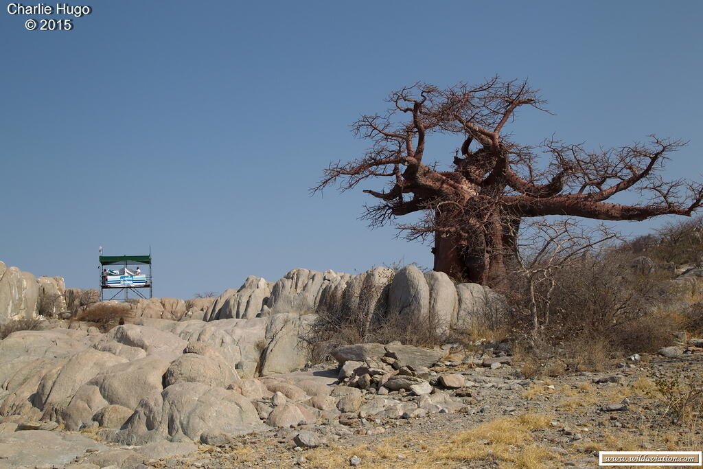 RfR Kubu Island 2015 CP5O6074 resize-1689528917