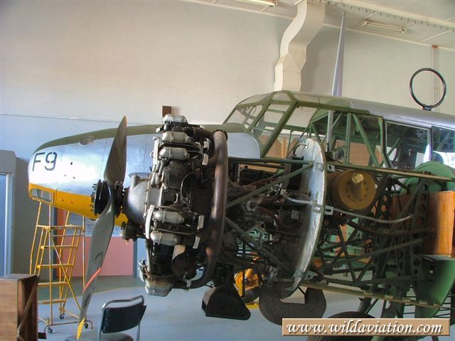 Anson 2004 0131swartkop Anson 30060
