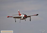 AAD 2024 3B6A10256
