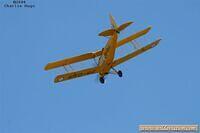 IMG 29903