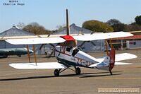 IMG 29975