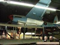 charlieH Mosquito 51